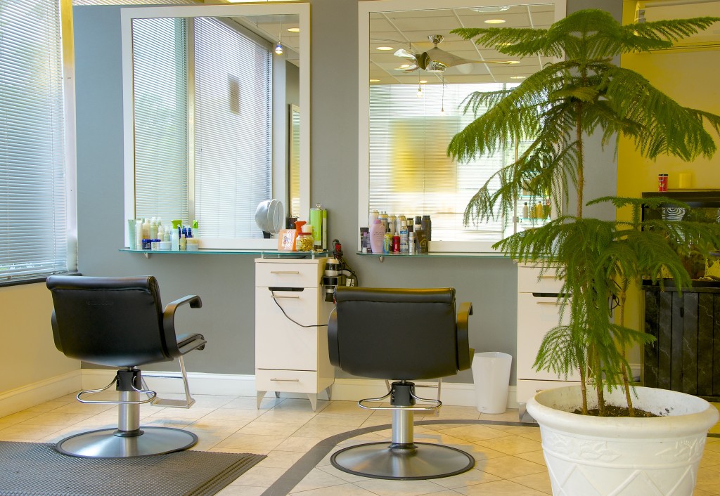 Eli Salon Arlington Hair Salon Hair Salon Arlington